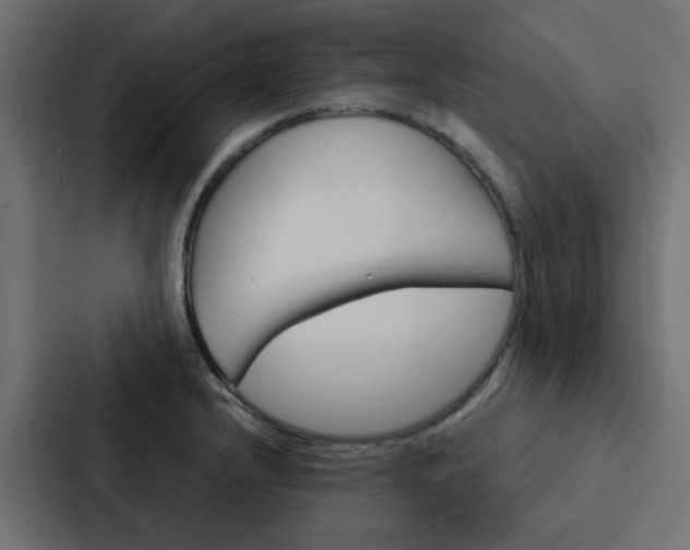 X0000088231232200705151042
