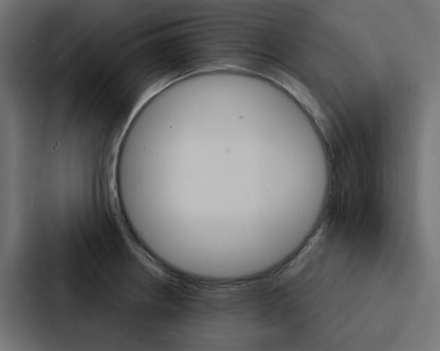 X0000088231234200705151042