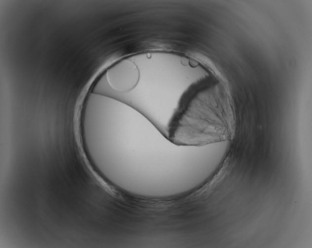 X0000088231235200705151042