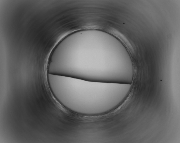 X0000088231236200705151042