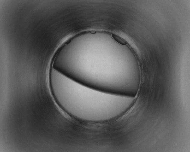 X0000088231237200705151042