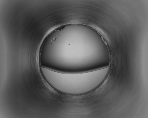 X0000088231238200705151042