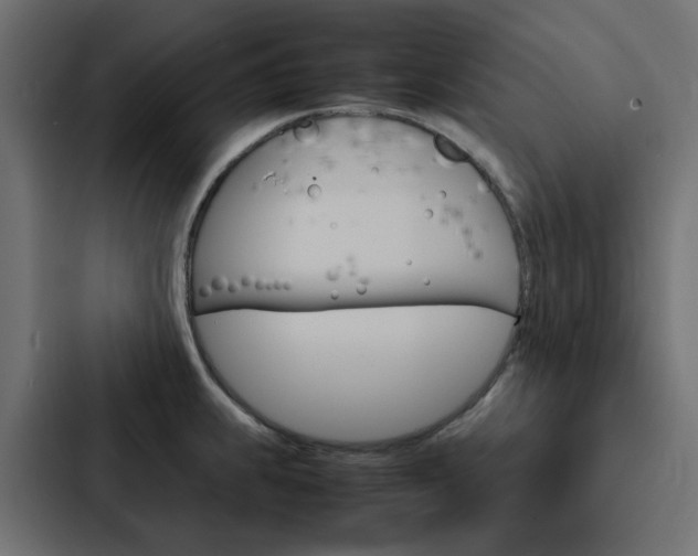 X0000088231239200705151042