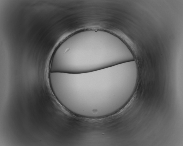 X0000088231240200705151042