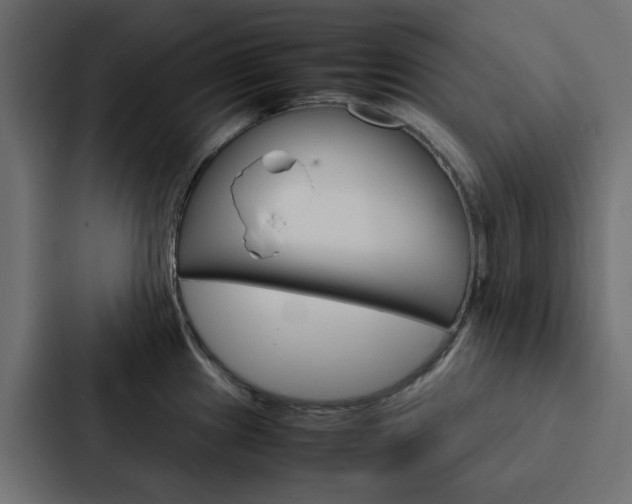 X0000088231241200705151042