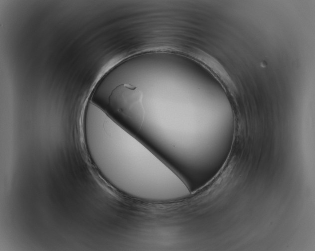X0000088231242200705151042