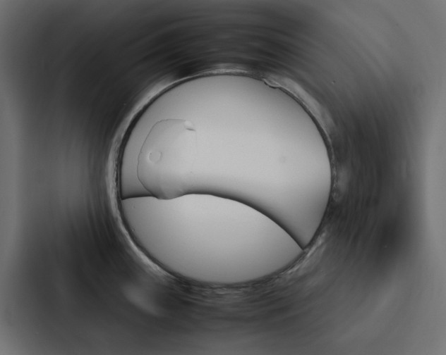 X0000088231243200705151042