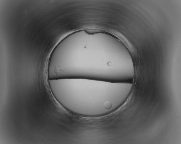 X0000088231244200705151042
