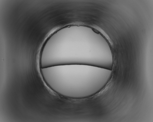 X0000088231245200705151042
