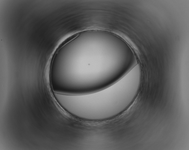 X0000088231246200705151042