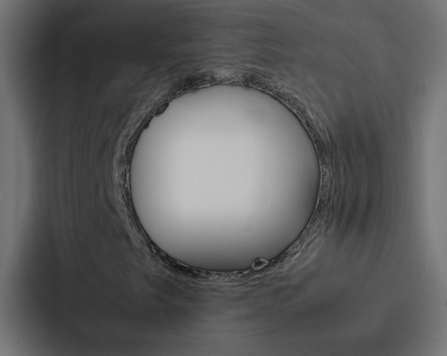 X0000088231249200705151042