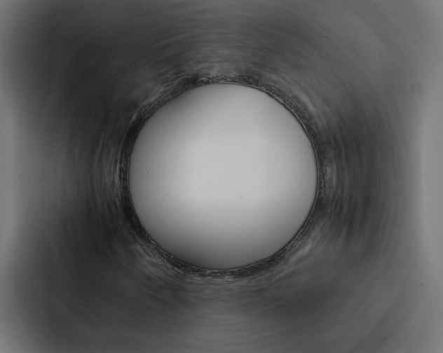 X0000088231250200705151042