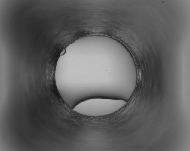 X0000088231251200705151042