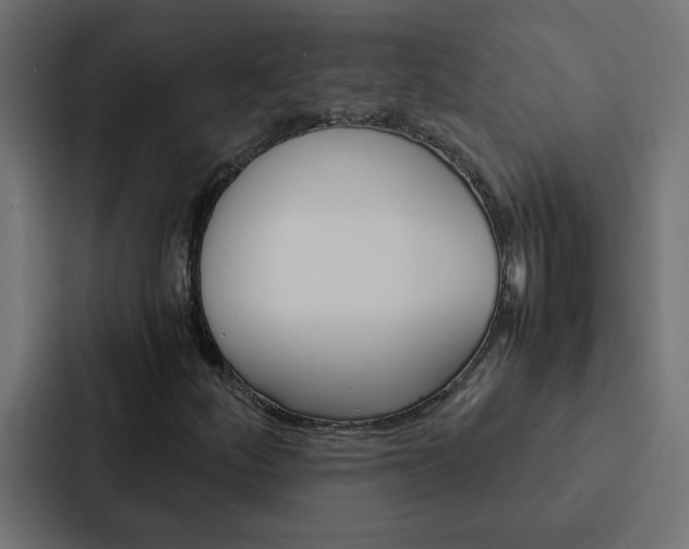 X0000088231252200705151042