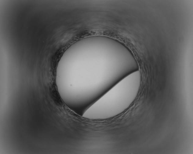 X0000088231253200705151042
