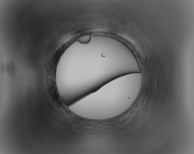 X0000088231255200705151042