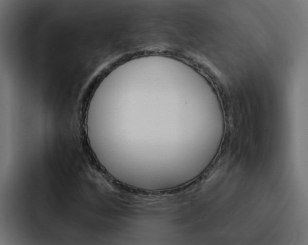 X0000088231256200705151042