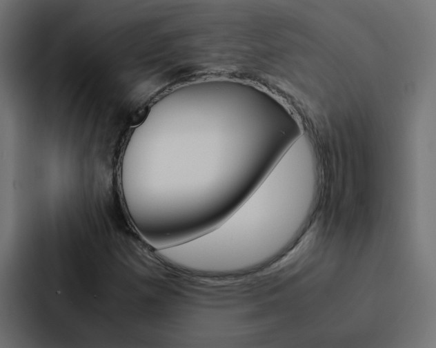 X0000088231257200705151042