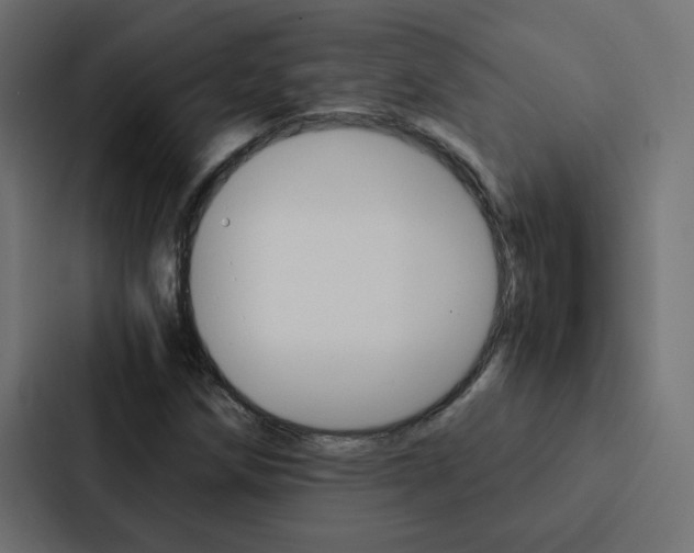 X0000088231258200705151042