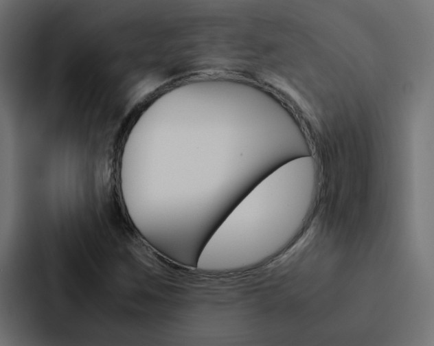 X0000088231259200705151042
