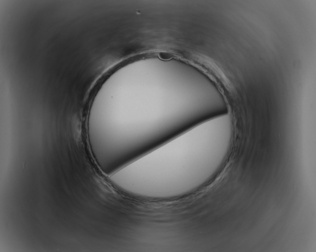 X0000088231260200705151042