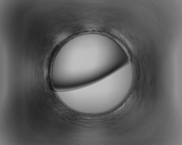 X0000088231261200705151042