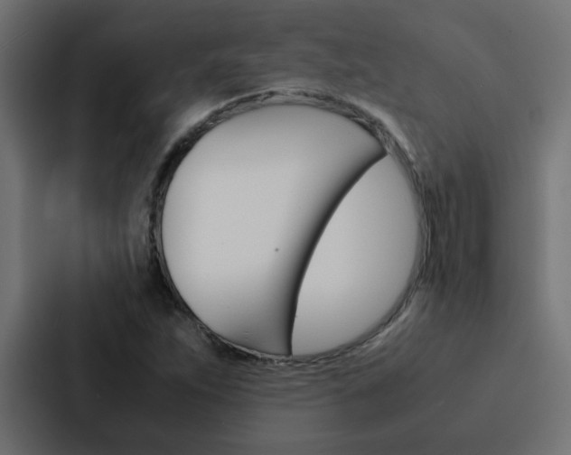X0000088231263200705151042
