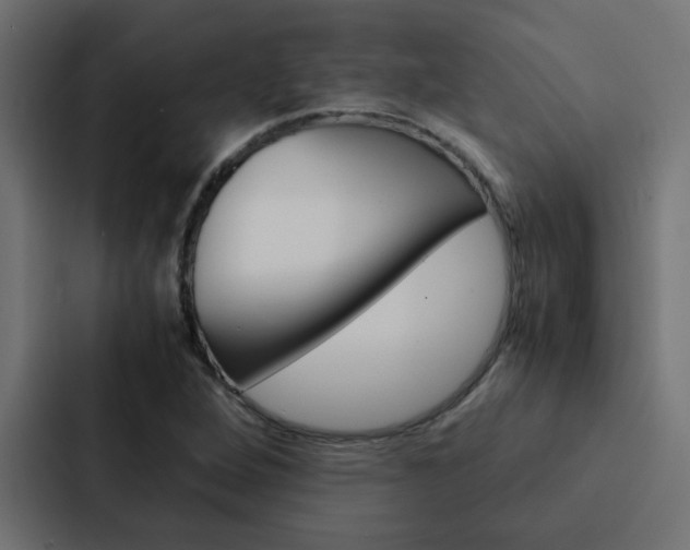 X0000088231264200705151042