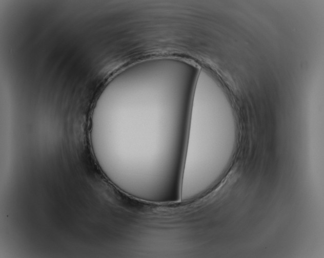 X0000088231265200705151042