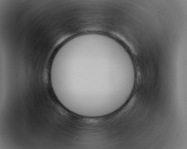 X0000088231266200705151042