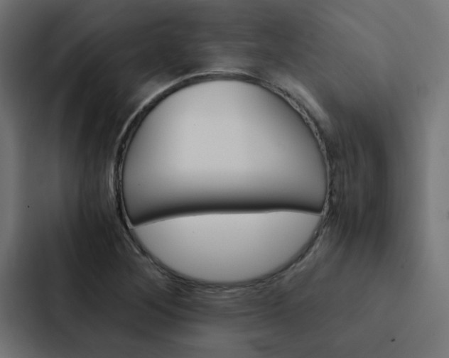 X0000088231268200705151042