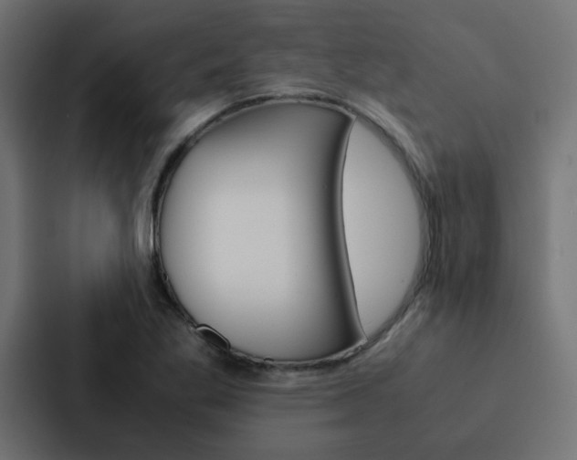 X0000088231269200705151042