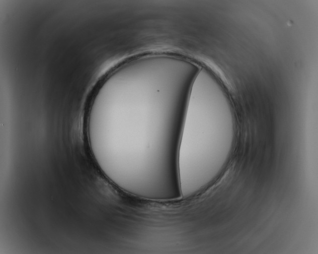X0000088231270200705151042