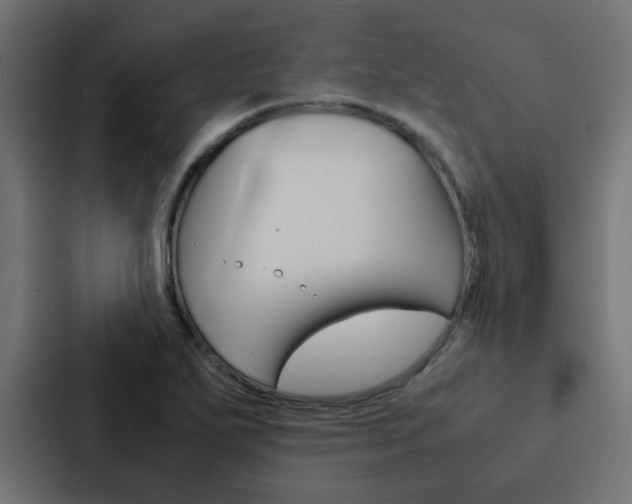 X0000088231271200705151042