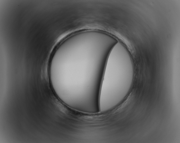 X0000088231272200705151042