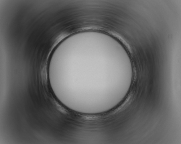 X0000088231274200705151042
