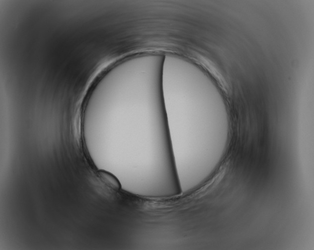 X0000088231275200705151042