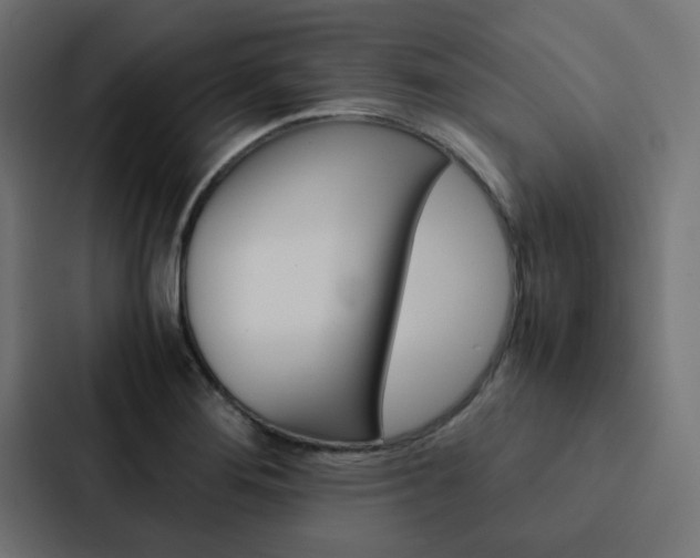 X0000088231276200705151041