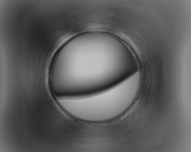 X0000088231277200705151041