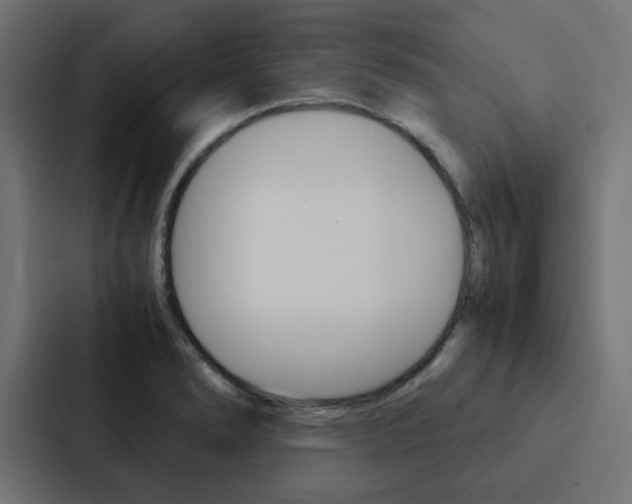 X0000088231278200705151041