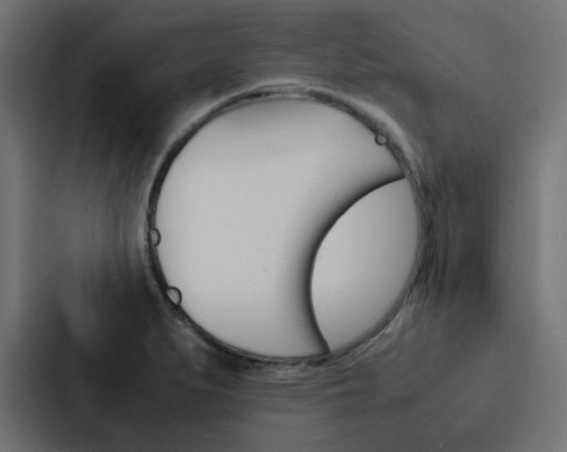 X0000088231279200705151041