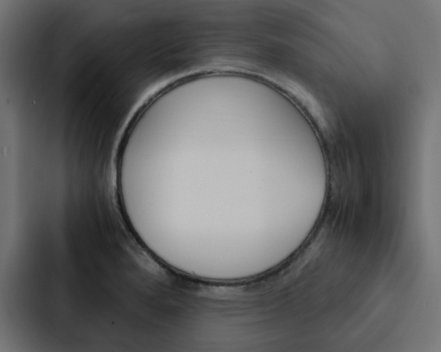 X0000088231280200705151041