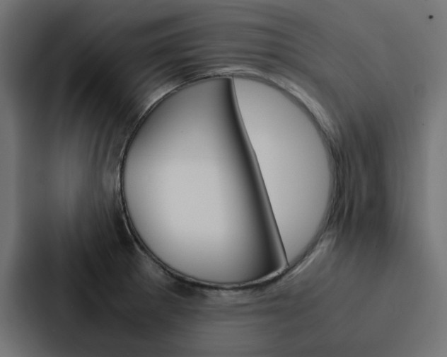 X0000088231281200705151041