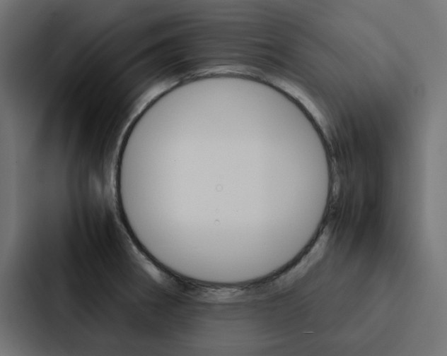 X0000088231282200705151041