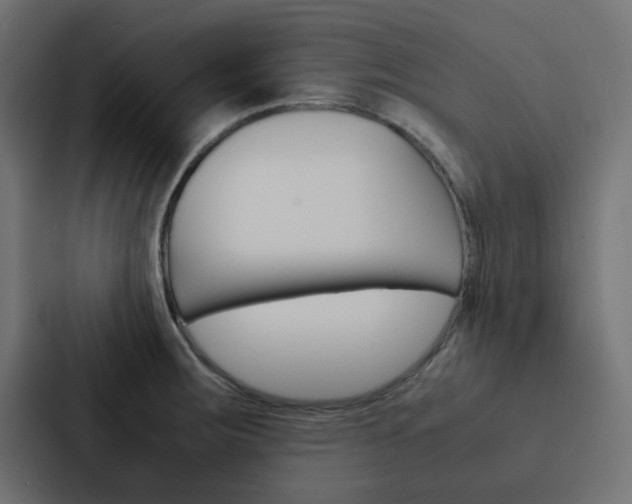 X0000088231283200705151041