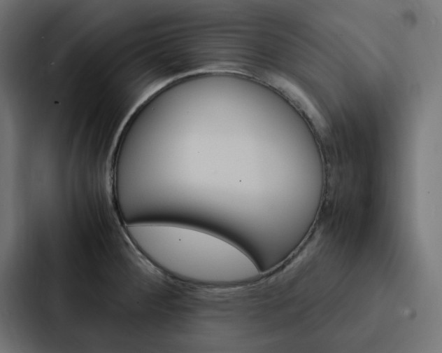X0000088231284200705151041