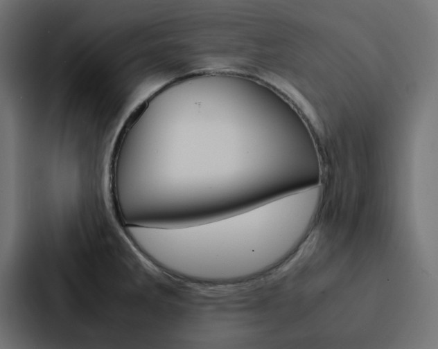 X0000088231285200705151041
