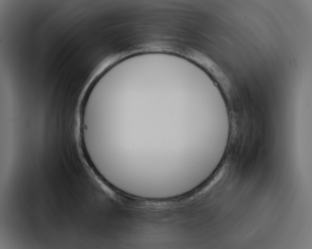 X0000088231286200705151041