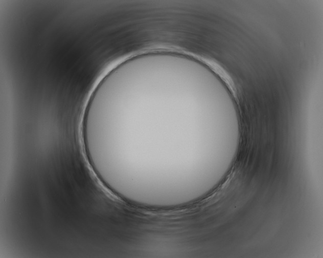 X0000088231287200705151041