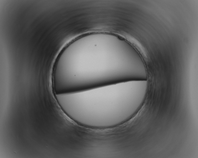 X0000088231288200705151041
